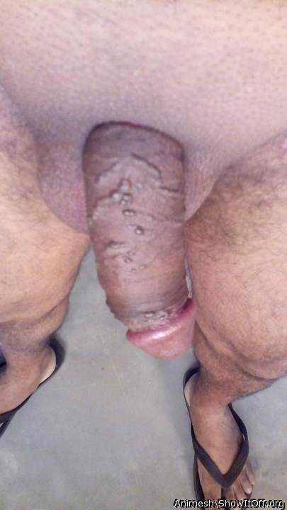 Adult image from Animesh