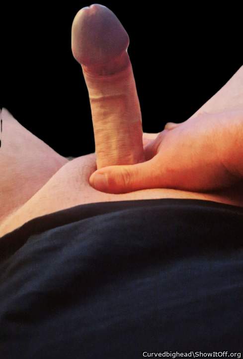 Adult image from Curvedbighead