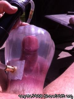Adult image from coyote7666