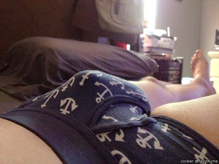 Adult image from cocker