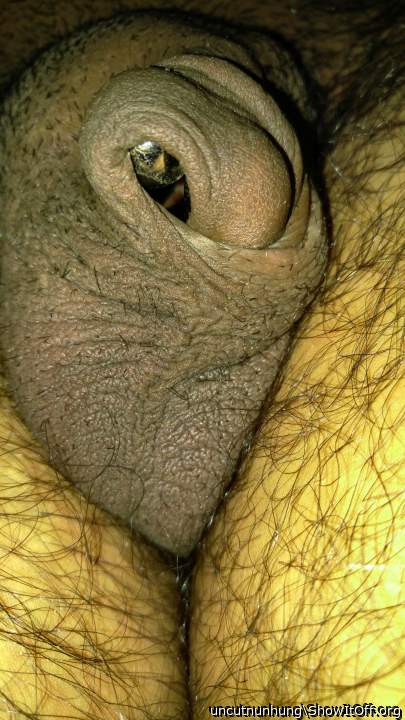 Stuffed 1