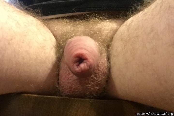 Adult image from peter79