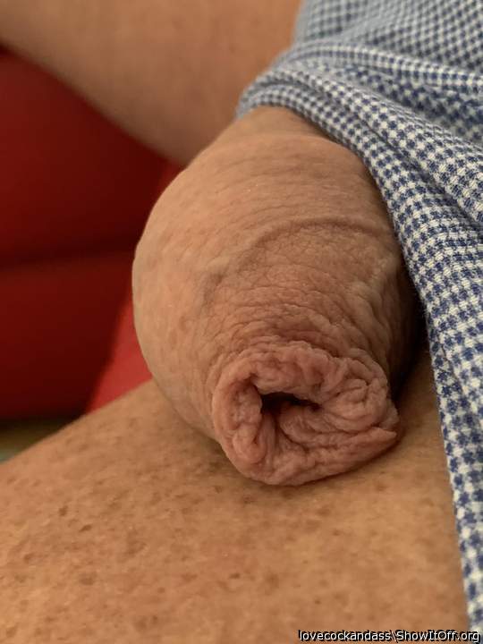 lekkere voorhuid    &#128069;