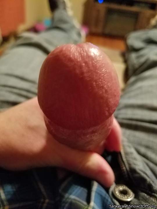 Adult image from Tankerale
