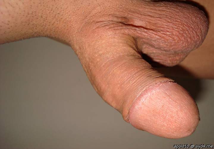 Adult image from apolo10