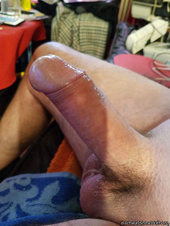 Adult image from dischwa