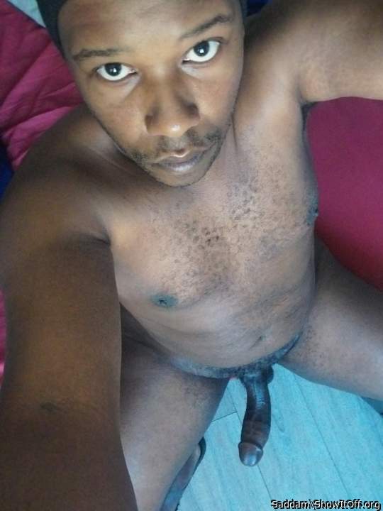 Adult image from Saddam