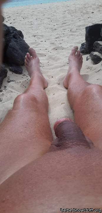 Adult image from Bertie