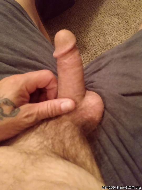 Adult image from Alf4269