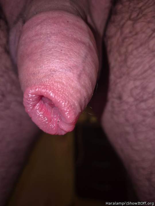 Adult image from Haralampi