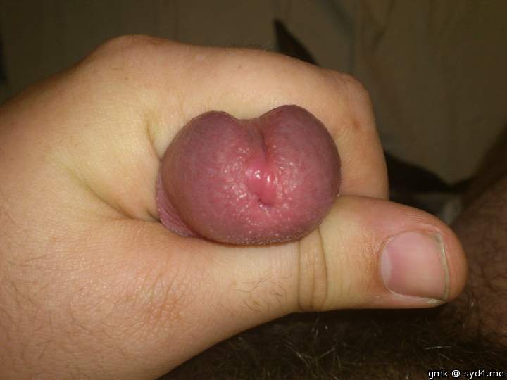Adult image from gmk