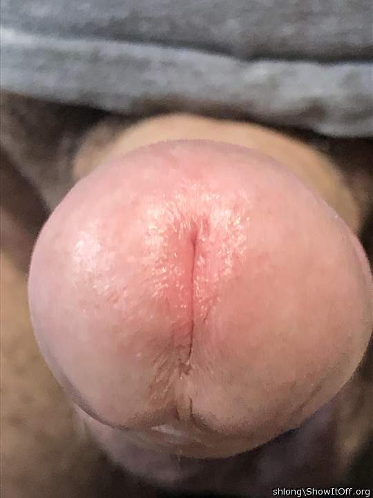 Adult image from shlong