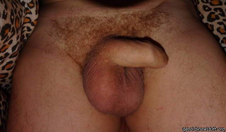 Adult image from gebol