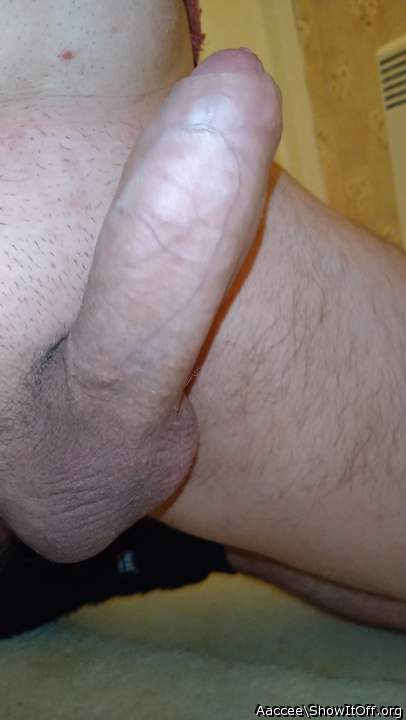 Adult image from Aaccee