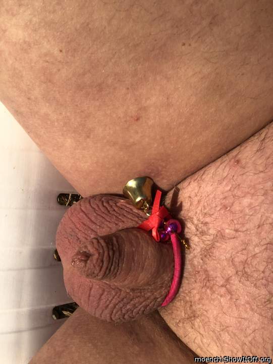 Adult image from Moench