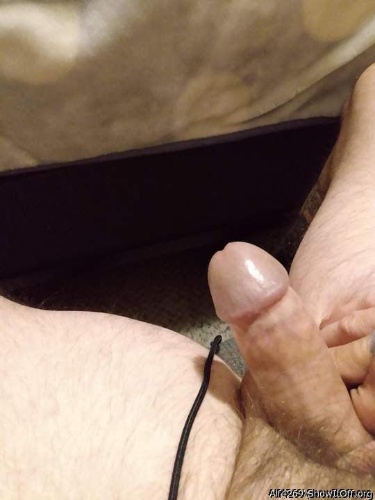 Adult image from Alf4269