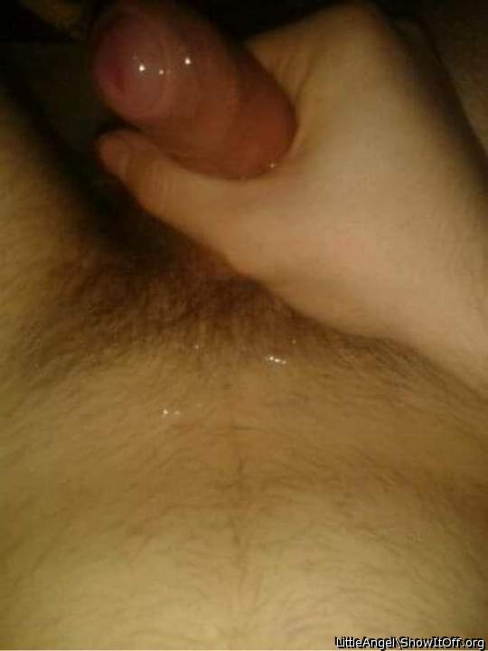 Adult image from LittleAngel
