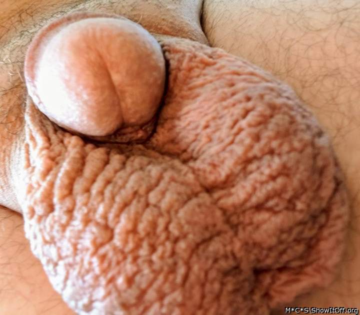 Adult image from M*C*S