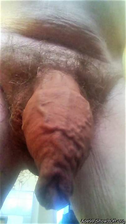 Adult image from Ade59