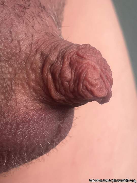 Adult image from DickFun1981