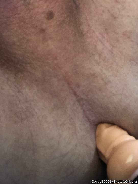 Adult image from Gordy30003