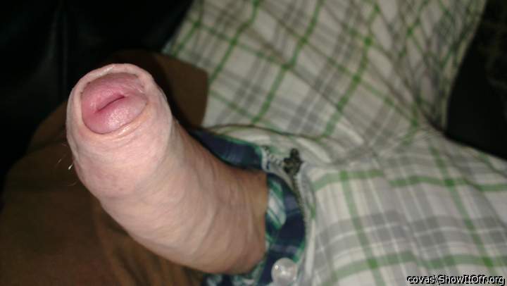 Adult image from covas