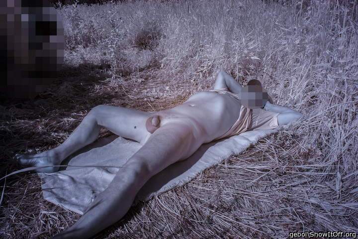 Adult image from gebol