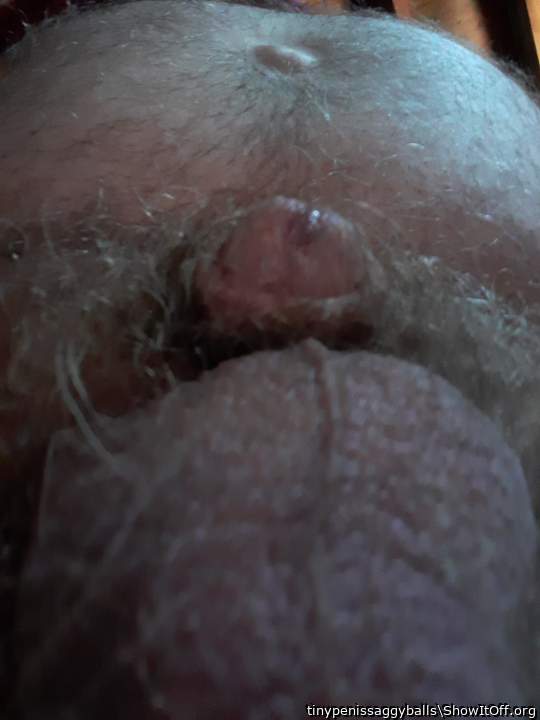 Adult image from tinypenissaggyballs