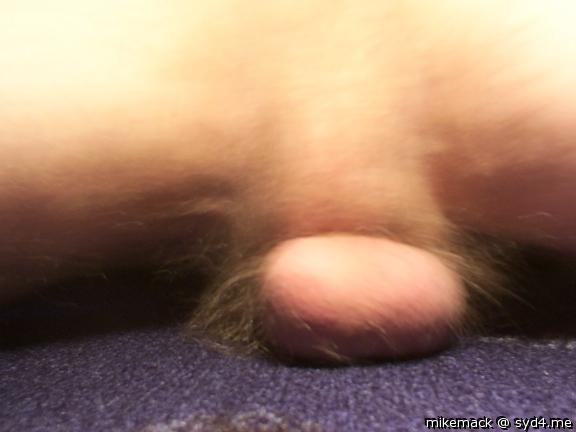 Adult image from mikemack