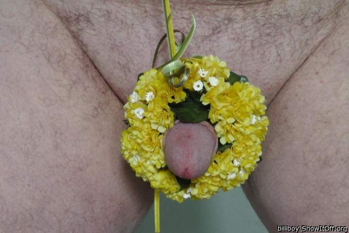 Fr�hling wirds