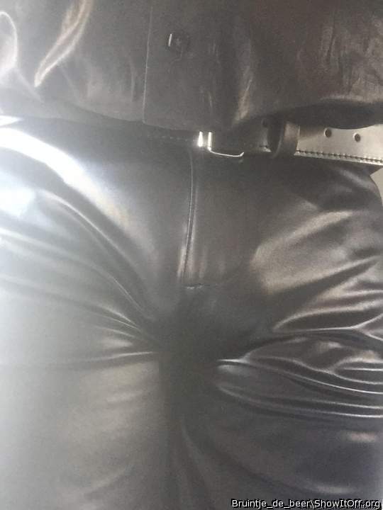 Adult image from bruintje_de_beer