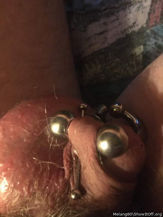 Sleeping penis