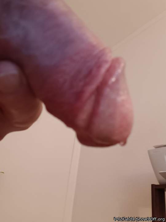 Adult image from PoloFields