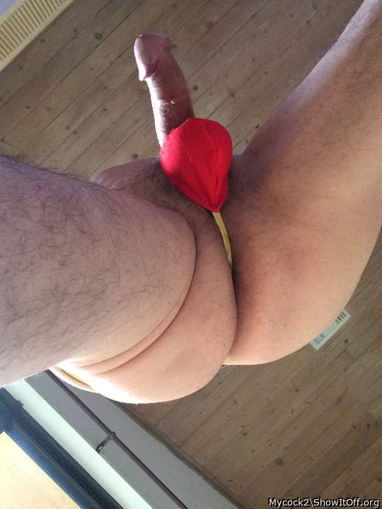 Adult image from Mycock2