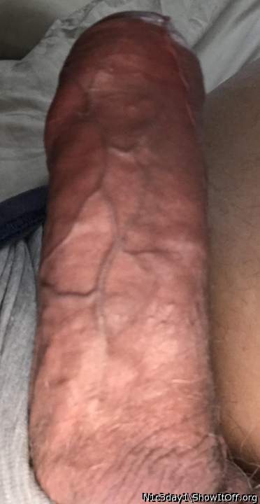 Adult image from N1c3day1