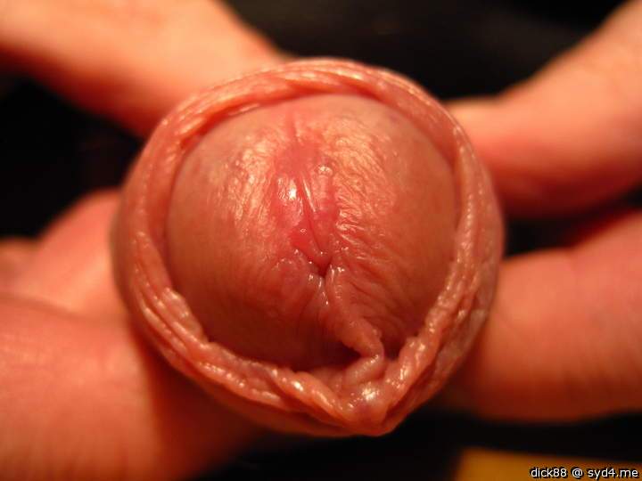 Adult image from Dick88