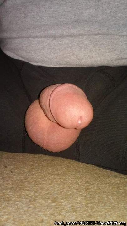 Adult image from Anal_Lover4446555