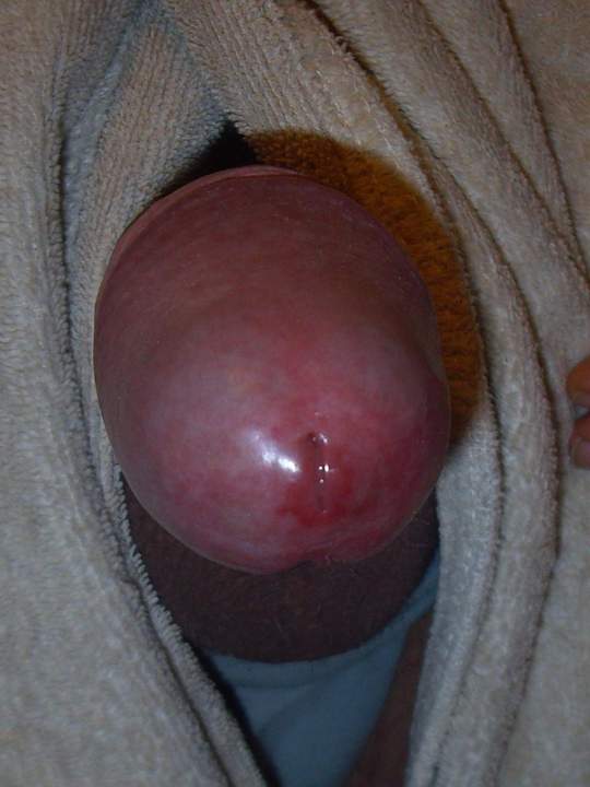 Adult image from w123