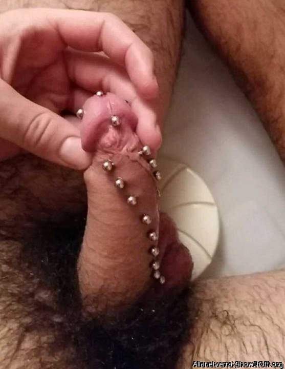 Adult image from Allauetverra