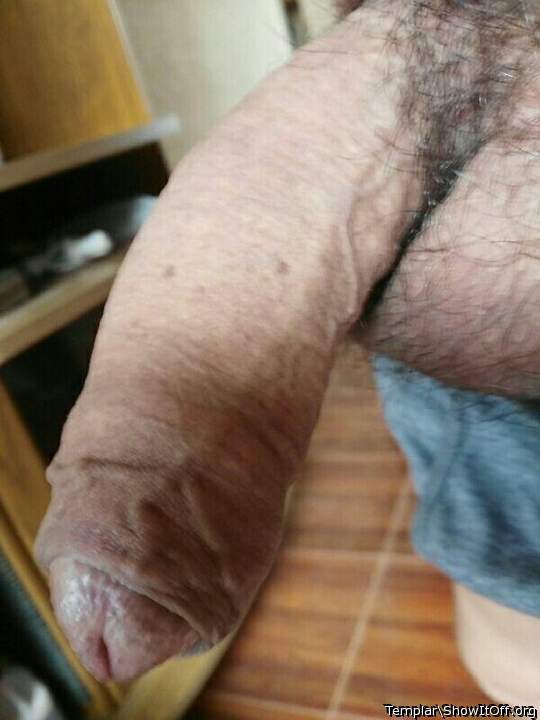 Adult image from Templar