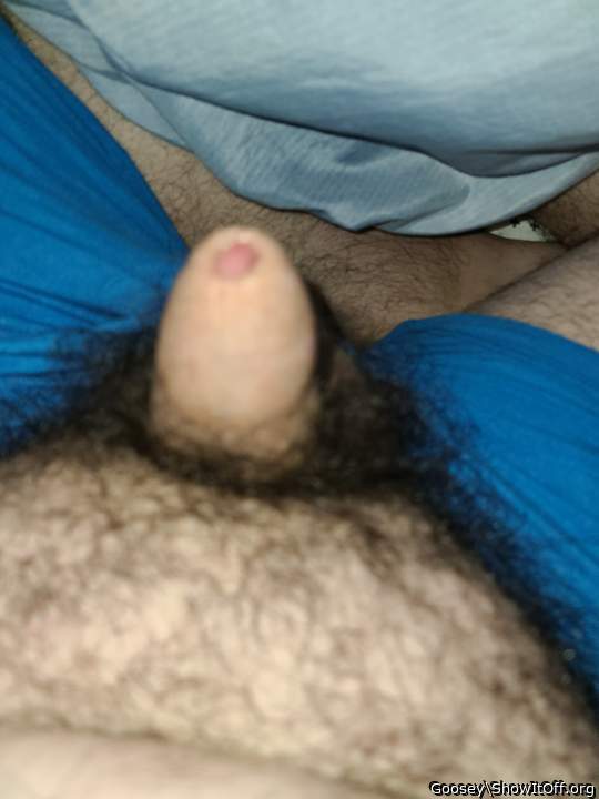 Adult image from Goosey