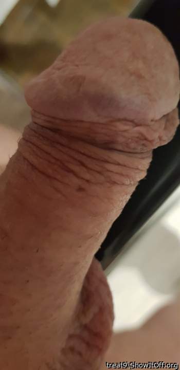 Adult image from treat9