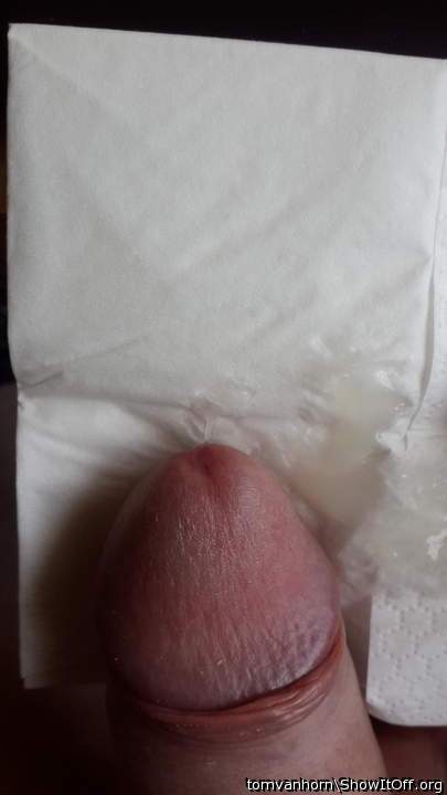 Adult image from tomvanhorn