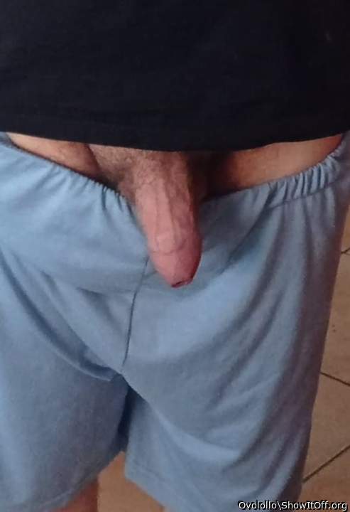 Adult image from Ovolollo