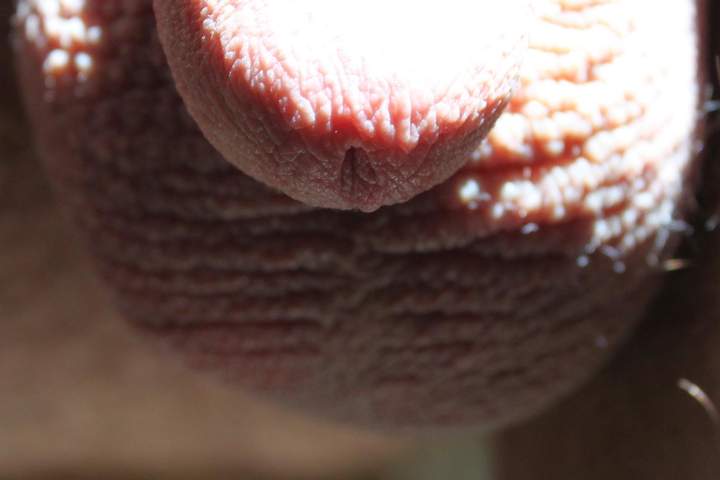 Adult image from lilsoftee