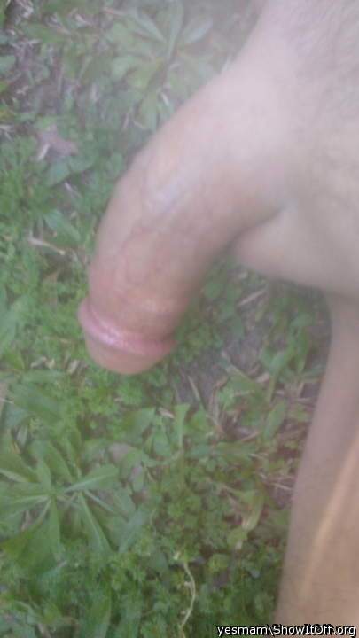 Adult image from yesmam