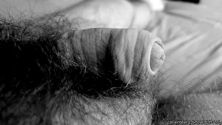 Adult image from calientearg