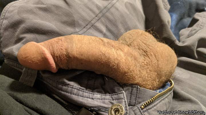 Adult image from Wetthroat
