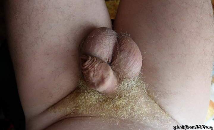 Adult image from gebol