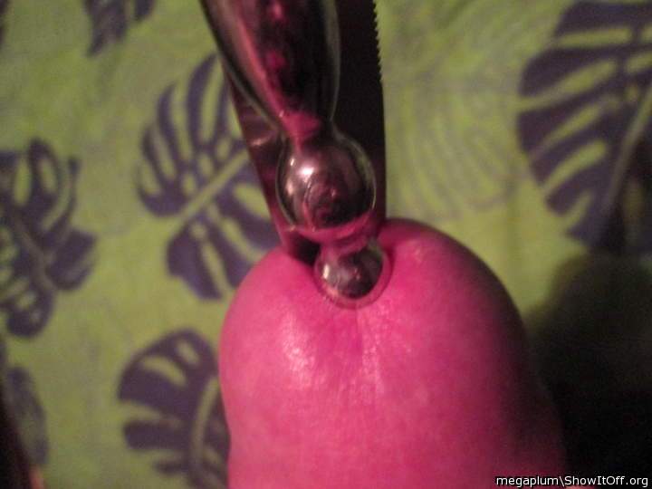 Adult image from megaplum